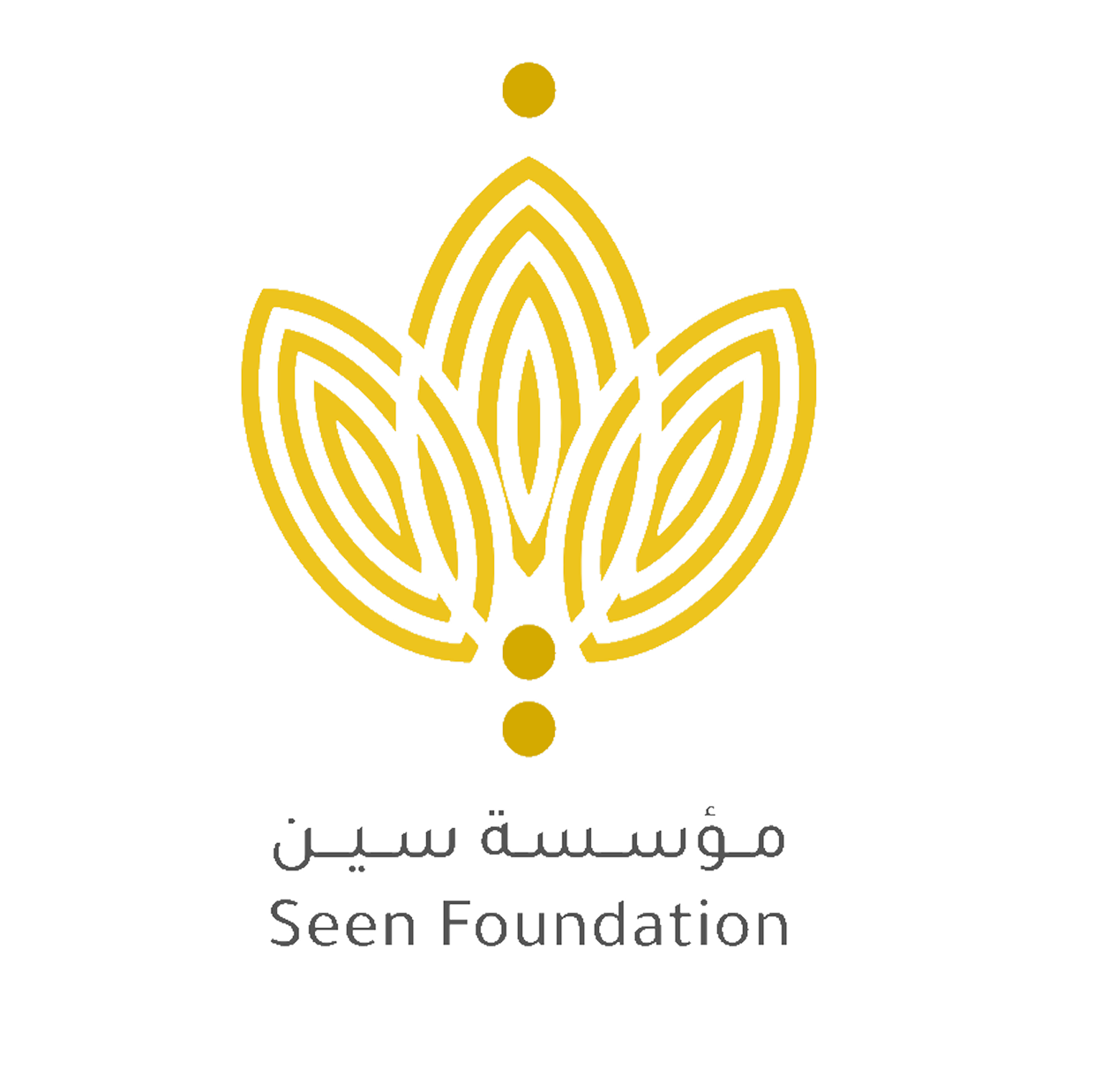 مؤسسة سين